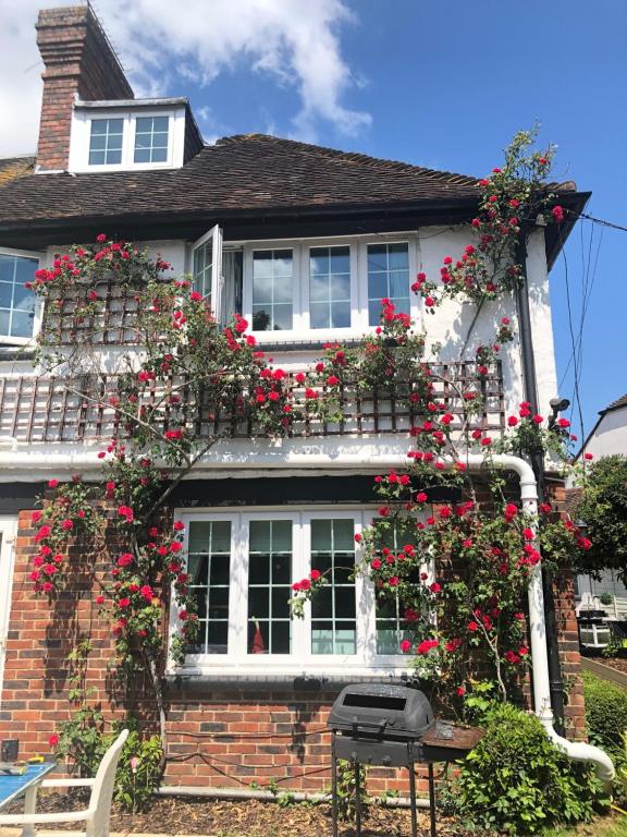 The rose-covered garden elevation of Halzephron House